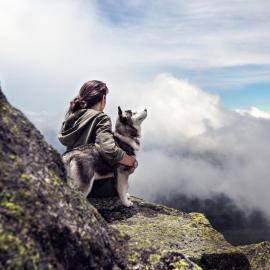 adventure-clouds-dog-36372