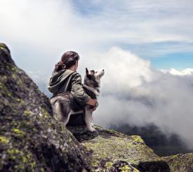 adventure-clouds-dog-36372