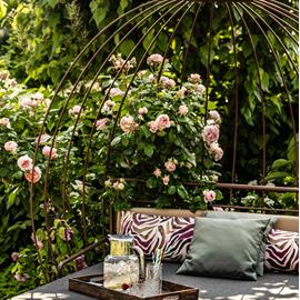 daybed con fiori e sciroppo di sanbuco,Angolo relax nel giardino dello Sport Hotel Panorama a Fai della Paganella, tra rose fiorite e atmosfera tranquilla immersa nel verde.
