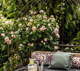 daybed con fiori e sciroppo di sanbuco,Angolo relax nel giardino dello Sport Hotel Panorama a Fai della Paganella, tra rose fiorite e atmosfera tranquilla immersa nel verde.