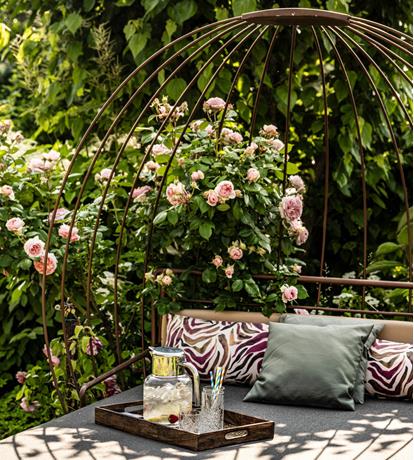 daybed con fiori e sciroppo di sanbuco,Angolo relax nel giardino dello Sport Hotel Panorama a Fai della Paganella, tra rose fiorite e atmosfera tranquilla immersa nel verde.