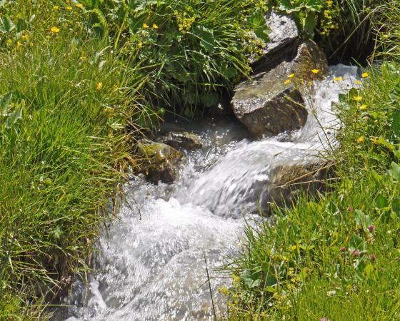 wellness-sorgente-acquaoligominerale-2