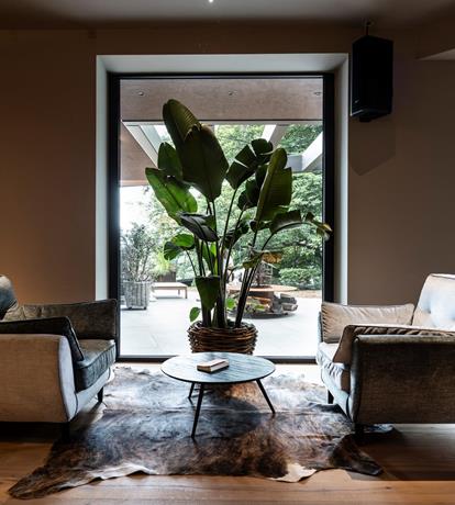 particolare salotti interni con vista su finestrone, poltrone di design e pianta di banano