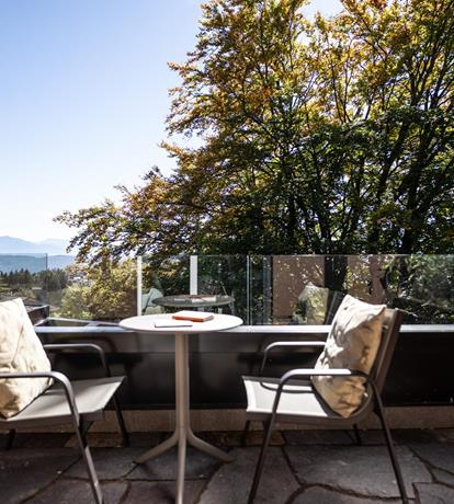 un balcone delle stanza, vetro come balaustra, luce, vista sulle mantagne. un posto magico dove godere il panorama.
