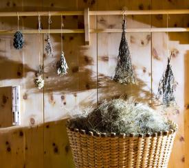 sauna bio Panorama Resort a Fai della Paganella