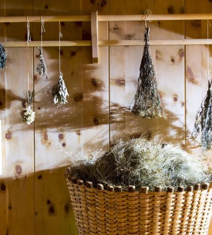 sauna bio Panorama Resort a Fai della Paganella